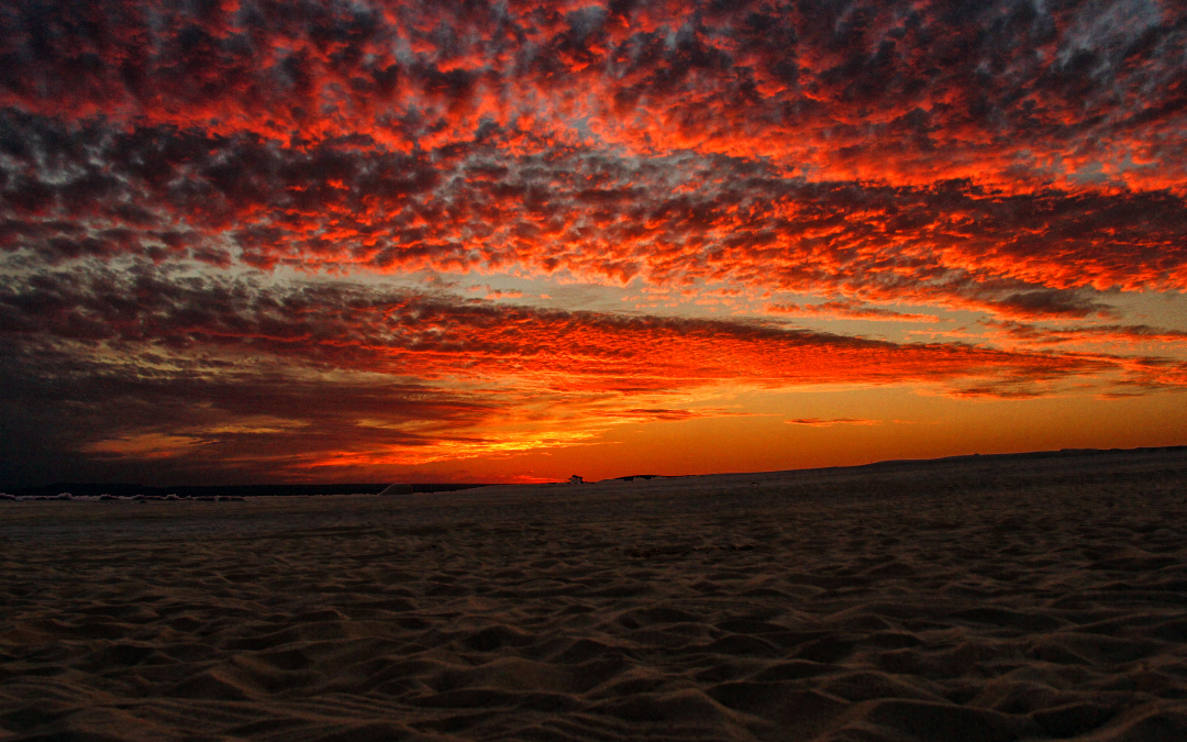 This week was brutal