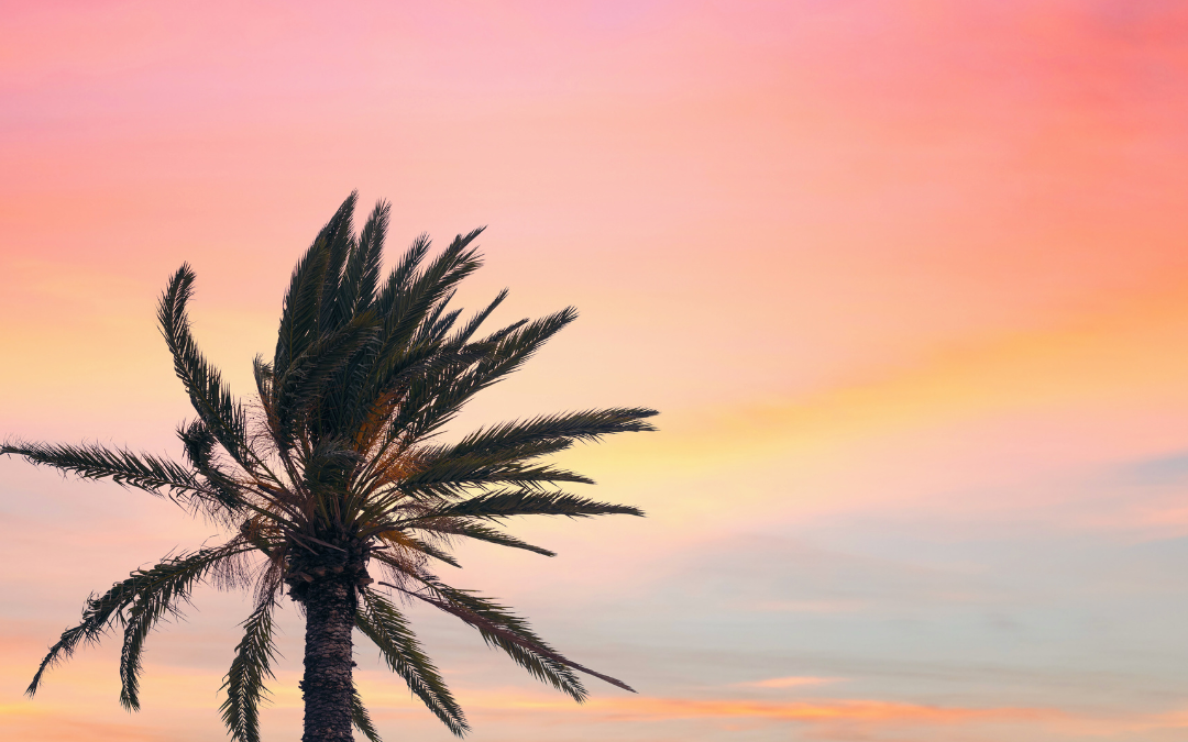 I Didn’t do my Last Article Justice