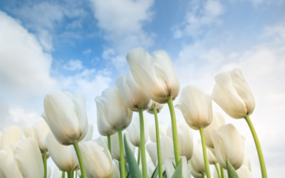 No Internationals (sorry) (Part 1)