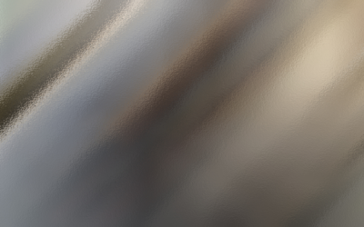 Reflexion di Diadomingo: Bestia